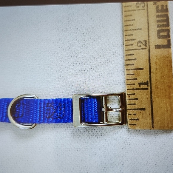 DOG -STONE COASTER with Easel and Nylon Collar - Picture 13 of 14